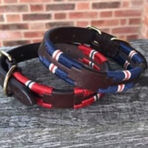 Dog Collar